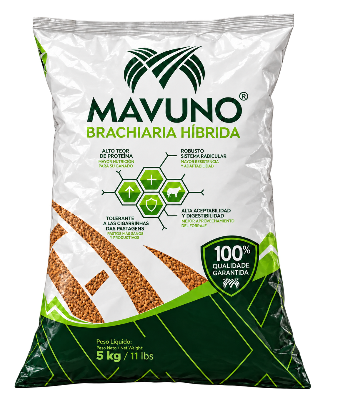 Sac original de semences Mavuno Brachiaria Híbrida de 5 kg